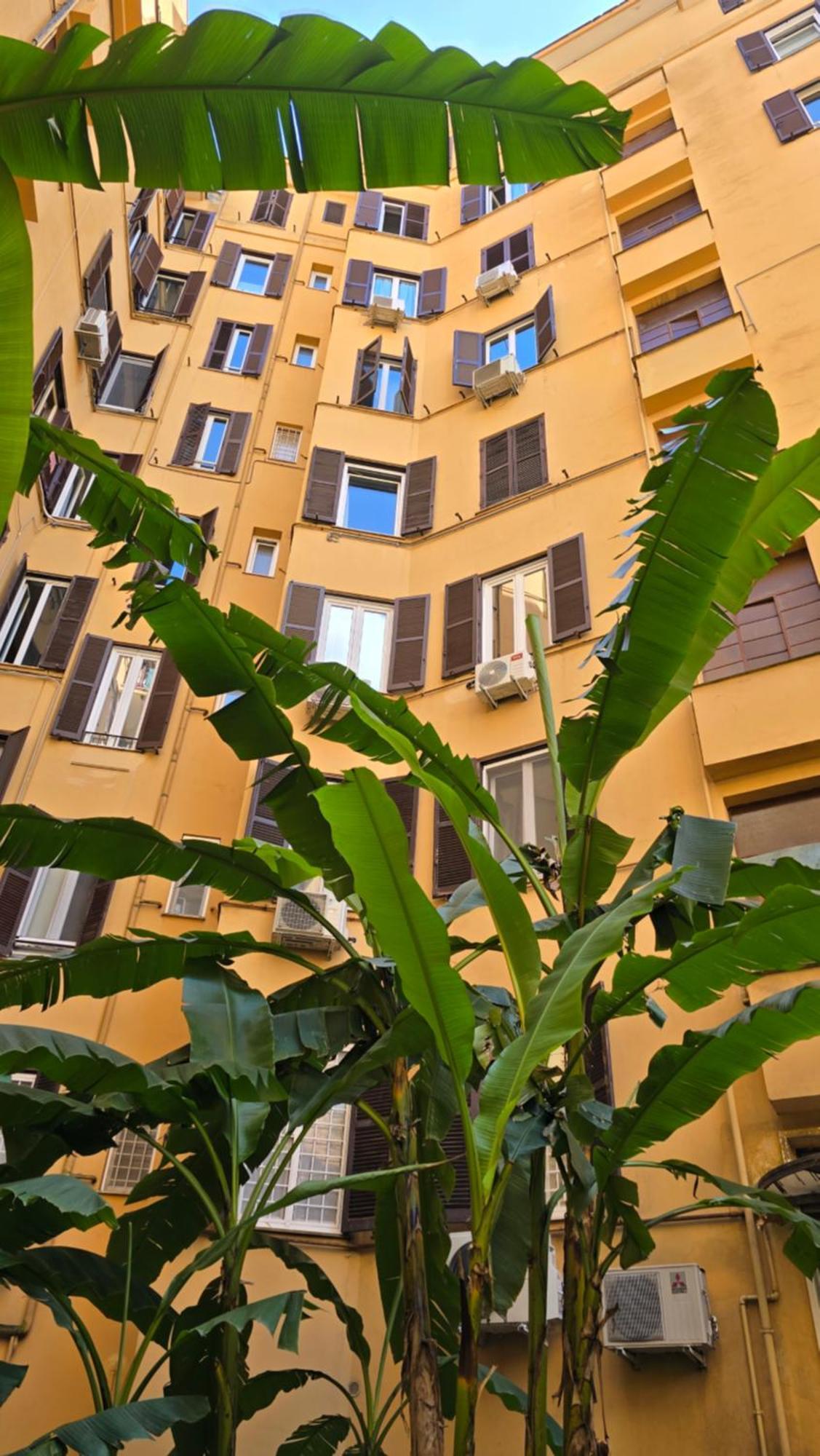 Aeterna - C8 * Roma